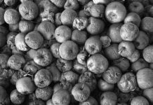 Cánovas del Castillo