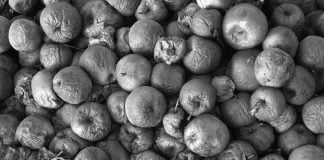 Cánovas del Castillo