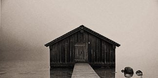 La Noche del Cazador