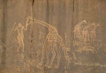 3. Ancestros ancestrales