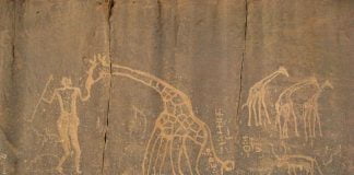 3. Ancestros ancestrales