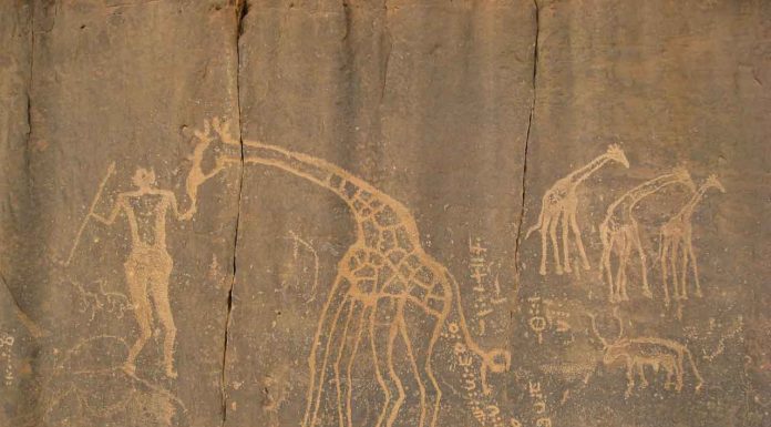 3. Ancestros ancestrales