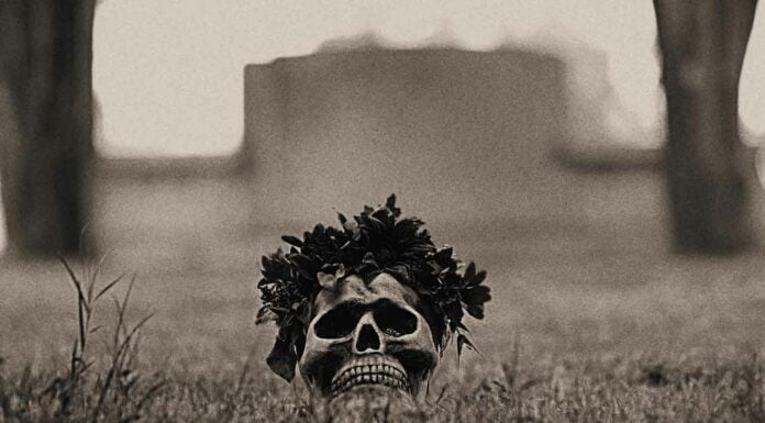 Adolescentes vivientes