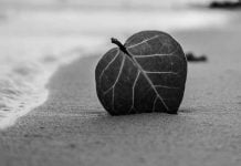 5. Hacedme caso que es por aquí