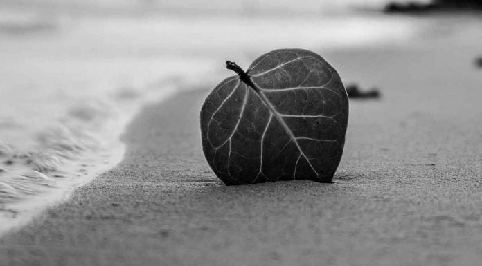 5. Hacedme caso que es por aquí