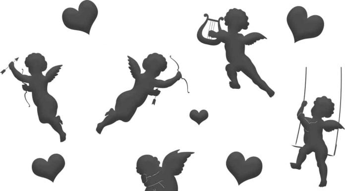 La vida privada de Fini