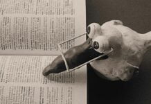 POLLO, no te acostarás sin saber algo nuevo