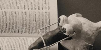 POLLO, no te acostarás sin saber algo nuevo