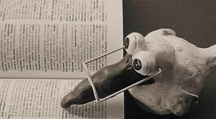 POLLO, no te acostarás sin saber algo nuevo