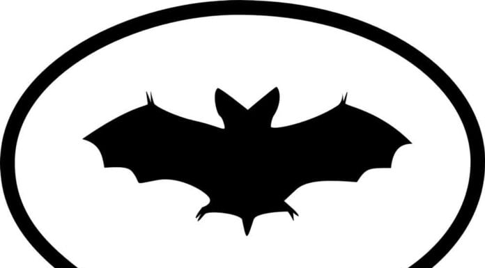 Batman contra el Valencia