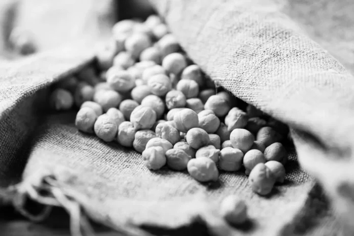 raw-chickpea-2024-10-18-06-56-02-utc copy